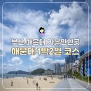 부산 해운대 가볼만한곳 아쿠아리움, 해변열차, 엑스더스카이 엘시티 전망대, 부산 요트투어 할인 예약...