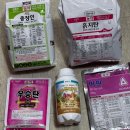 중앙농약사 | 마늘, 양파, 파를 재배할 때 쓰는 약 추천