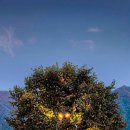 호수별장 이미지