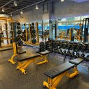 오성피트니스 이미지