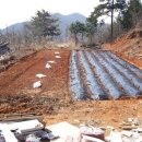 현천농장 이미지