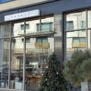 햇살좋은창 | 동탄 애견동반 카페 [카시아] 치즈케이크가 맛있는 작업하기 좋은 햇살 맛집 솔직후기 🍰