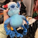 프라이펫 이미지