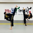 경희대 최강 태권도 이미지
