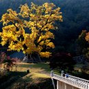 버스터미널 뒤 경동로 네이버블로그