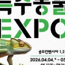 정브로