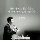 판다팜 이미지