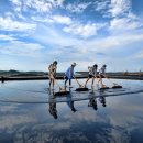 당산나무민박 이미지