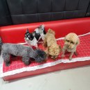 빈스 앤 멍 이미지