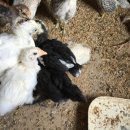 성마루농장 이미지