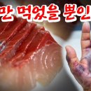 치사율 50% 사실일까? 여름에 회 먹고 참변 당한 보도의 진실 이미지