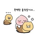 설아헤어 네이버블로그