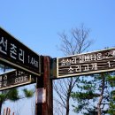 사룡리 마을회관 이미지