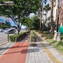 센트라포레 이미지