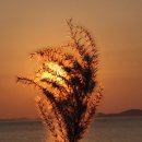 화성시서부종합사회복지관 이미지