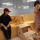 CATS TIME CAFE 이미지