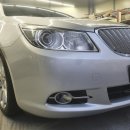 대한카독크 이미지