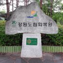 강원도립화목원 이미지