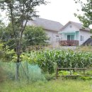 강촌 러브레터 펜션 이미지