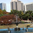 덕수궁 Daum카페