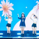 피어나 이미지