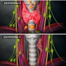 이내선아 이미지