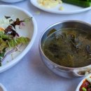 해운대캇트 네이버블로그