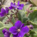 주차장 | 인천공항 장기주차장 예약 비용 할인 주차장 이용 후기