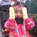 진인어린이집 이미지