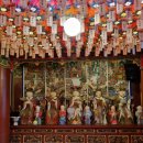 다내려놓고 ㅡ법련사 이미지