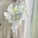 클로리스 이미지