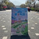 블링블링 게임존 | 서울랜드 K도파민페스티벌 꿀팁 놀이기구 공연 먹거리 완벽 가이드