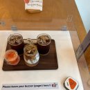 조천농장 | 제주 조천 감귤체험 가능한 이색 카페 더 콘테나 재방문 후기