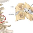 강한의원 이미지
