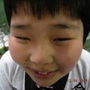 인제합기도 Daum카페