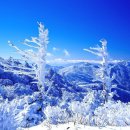 한국 100대명산 백덕산(1350m) 산행후기 이미지