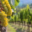 (주)트랜드이슈 이미지