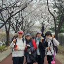 파크장 Daum카페