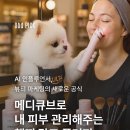 플러피뷰티