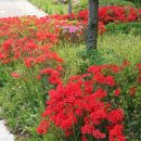 한수공인중개사사무소 이미지