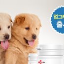 냠냠 이미지