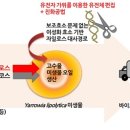 청정농업연구원