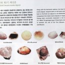 포항중기전기 네이버블로그