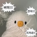 요거트월드 역곡점 | 방학 전 일상 ! (출장과 출장과 출장)