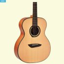 통기타(입문) | 입문용 통기타 추천, 고퍼우드 G110 후기 OM바디라 처음 시작하기 괜찮았던 이유