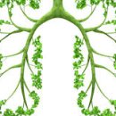 경희그린비한의원 이미지