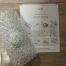 양재메디칼약국 | 서울 귀 뚫어주는 피부과, 캘로이드 귀 뚫기 , 켈로이드흉터 귀 뚫기 여정!