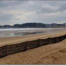 만리포해변 이미지