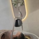 세리헤어 이미지