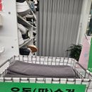 리얼복싱짐 - 춘천시 충열로 4 | 리얼복싱짐